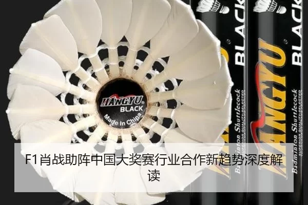 F1肖战助阵中国大奖赛行业合作新趋势深度解读